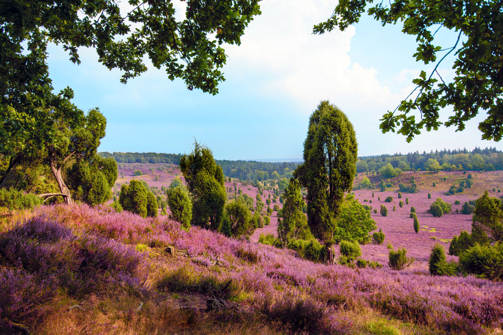 Mein Hotel-Tipp in der Lüneburger Heide für Senioren