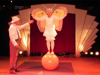 Reife Talente in der Manege