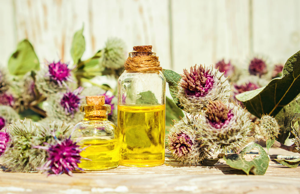 Haarausfall - Äußerliche Behandlung Haarausfall - Äußerliche Behandlung