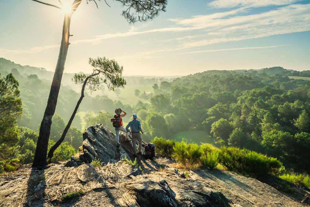 Wandern im Alter - So kommen Sie gesund durch die Natur