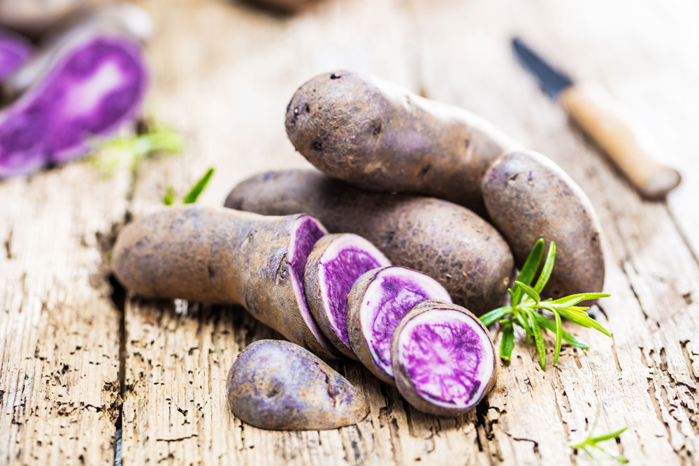 Blaue Kartoffeln können den Blutdruck senken