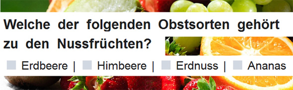 Gedächtnis mit Quizfragen trainieren