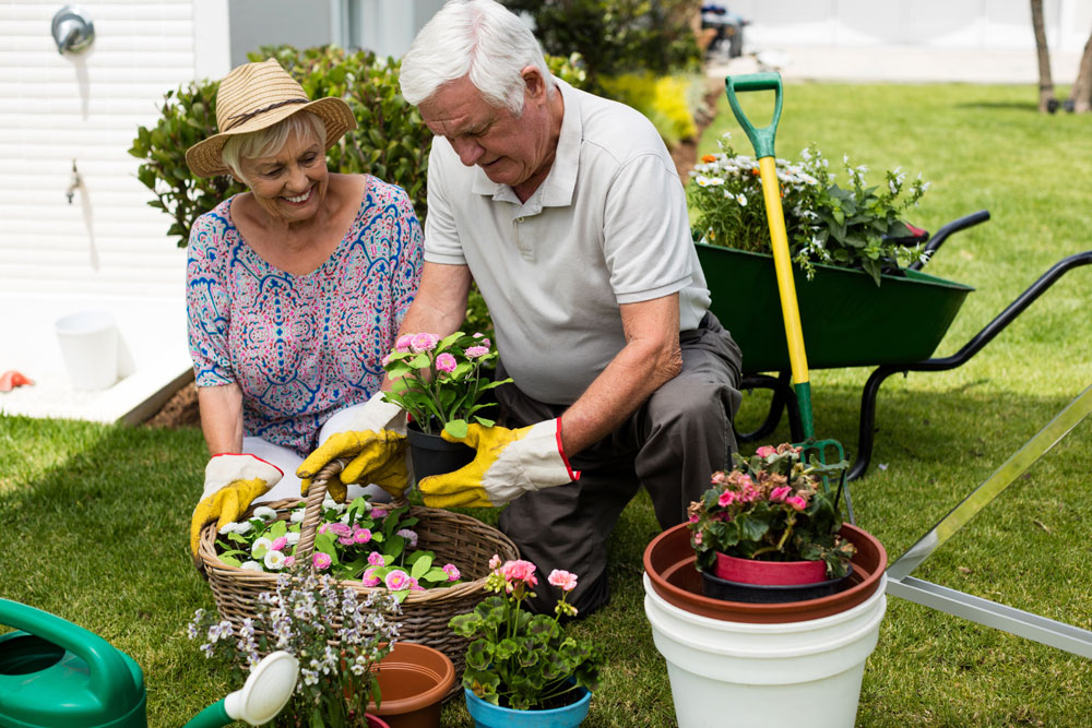 Gartenarbeit erleichtern – Tipps und Hilfsmittel für Ihr Hobby