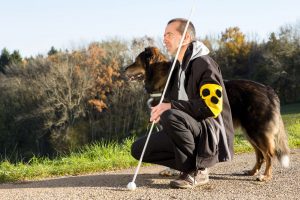 Blindenführhund