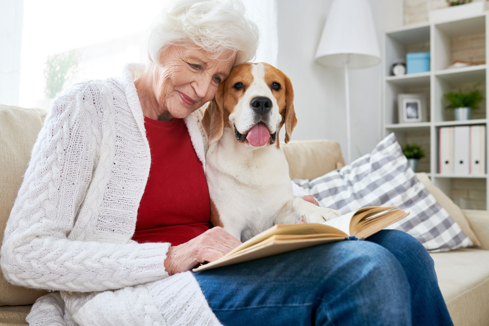 Seniorin umarmt Hund Haustiere für Senioren Gesundheit
