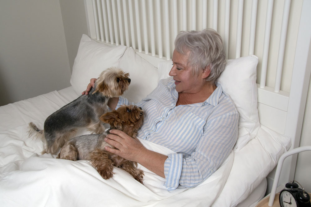 Frau mit zwei Hunden im Bett.