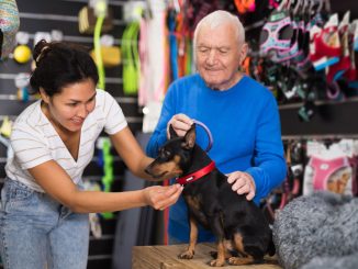 Senior sucht Hundehalsband.
