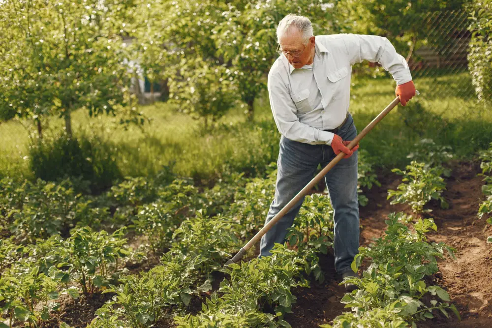 Gartenarbeit im Alter